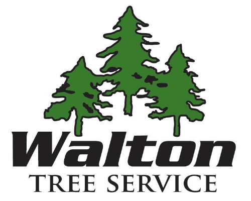 Tournament Sponsor