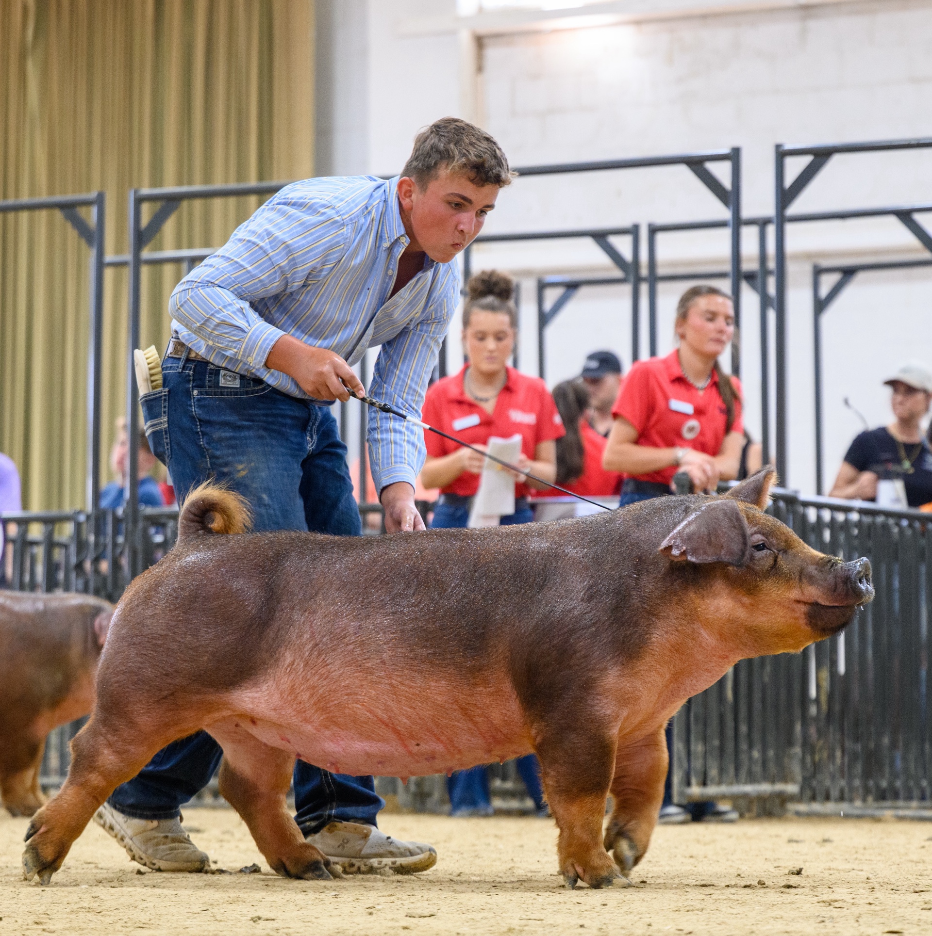 Barrett Clark